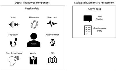 Digital phenotype of mood disorders: A conceptual and critical review